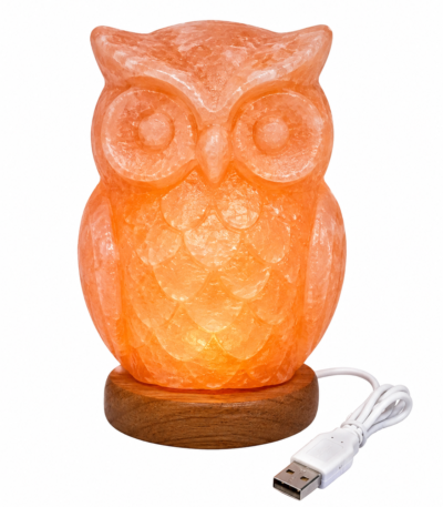 Illuminated handcrafted owl Himalayan pink salt lamp on a round wooden base with a white USB cable