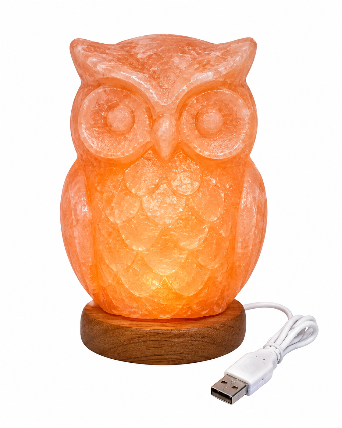 Owl Himalayan Pink Salt Lamp - USB Desktop Decor Illuminated handcrafted owl Himalayan pink salt lamp on a round wooden base with a white USB cable