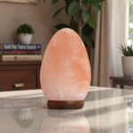 Handcrafted egg shape lamp USB lamp with smooth polished oval contours mounted on a dark wooden base
