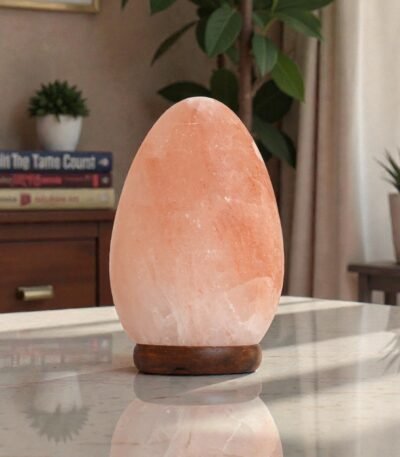 Handcrafted egg shape lamp USB lamp with smooth polished oval contours mounted on a dark wooden base