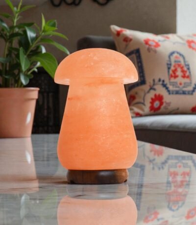 Handcrafted mushroom shape table lamp with smooth rounded cap carved from Himalayan pink salt mounted on a dark wooden base