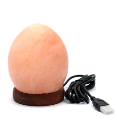 Handcrafted USB egg shaped Himalayan pink salt lamp with smooth ovoid contours mounted on a dark wooden base.