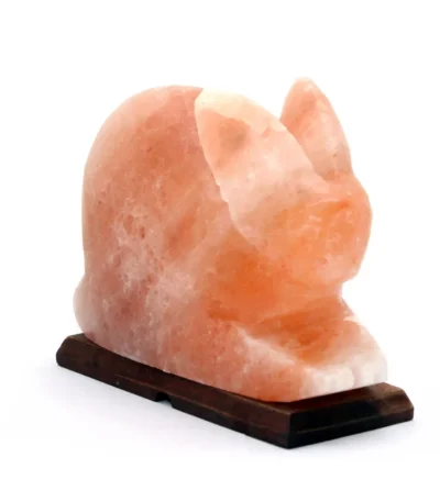 Handcrafted rabbit shaped Himalayan pink salt lamp with carved ears mounted on a dark wooden base.