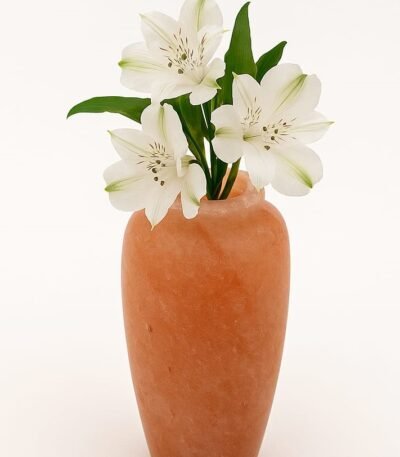 Handcrafted Himalayan pink salt flower vase holding white flowers on a clean white background